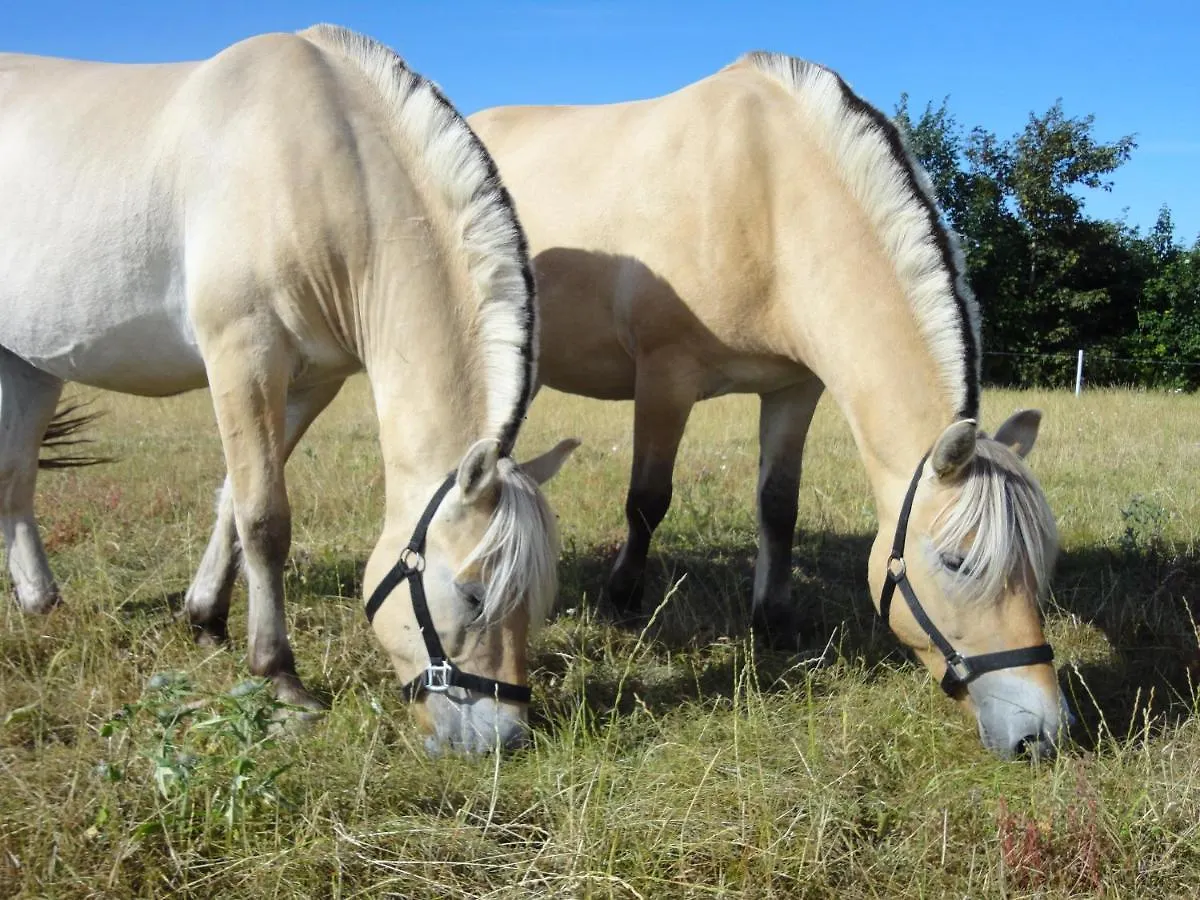 Bindesbolgard Farm Holiday Give