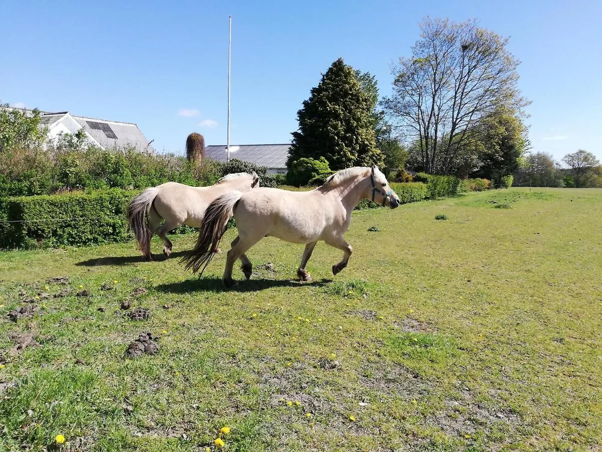 Bauernhof Bindesbolgard Farm Holiday Give
